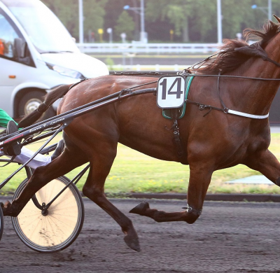 Quinté samedi à Vincennes : Visa AS, ça déménage ! 