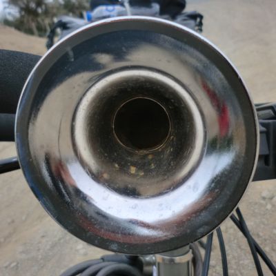 ArtichautAffable662807