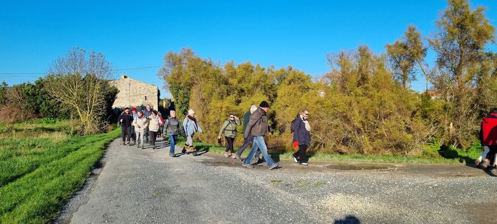 PHOTOS DE LA MARCHE DE LAU'RANDO DU 3 DECEMBRE