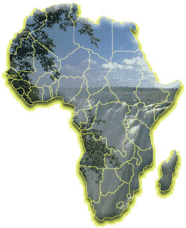 Afrique : la Chine creuse son sillon du nord au sud (données GTA/GTIS onze mois 2013)
