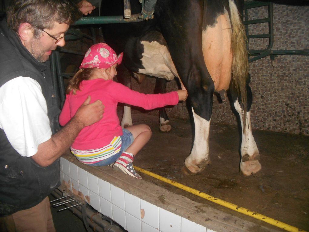 Promenade scolaire à la ferme