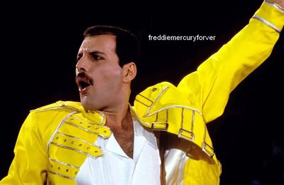 Tout savoir sur Freddie Mercury, ses goûts, ses habitudes