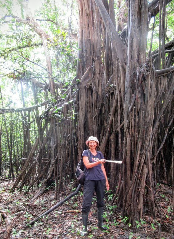 Amazonie péruvienne: Iquitos, Muyuna et San Juan de Yanayacu. 31 août/ 5 septembre 2016