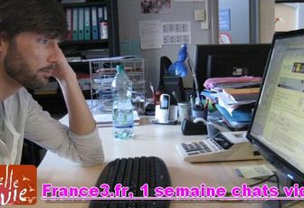 France3.fr, 1 semaine chats vidéo !