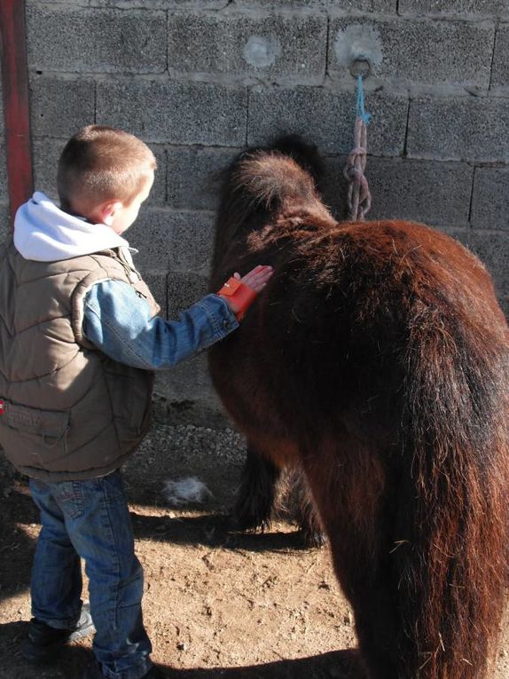 "La Traversée du Grand Canyon"

Sortie : "Equitation au Domaine d'Epona"
Sortie : "Les Chercheurs d'Oeufs aux Jardins de Cybèle"
Kermesse avec le Club PréAdos
Bricolages & Jeux...