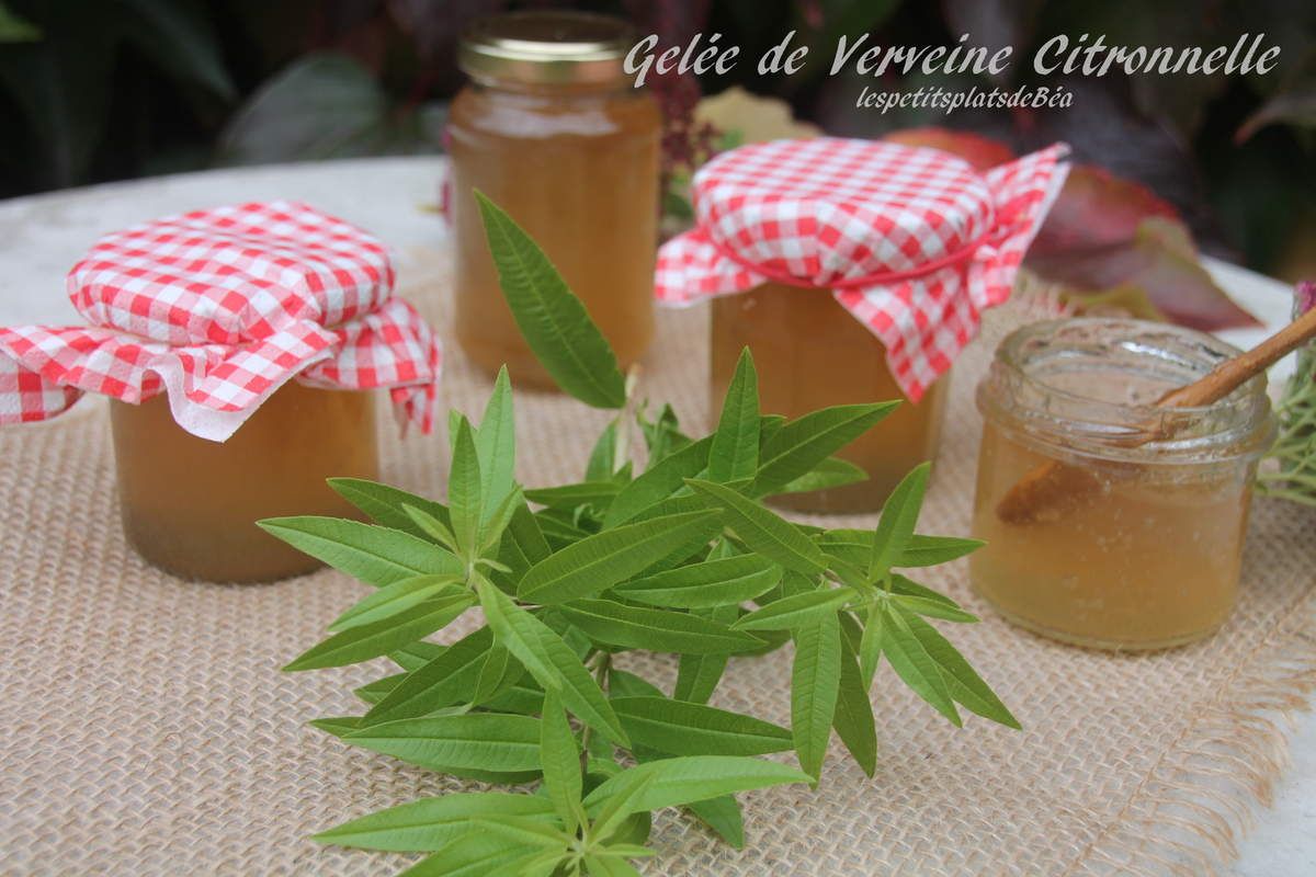 Gelée de verveine citronnelle - Les petits plats de Béa