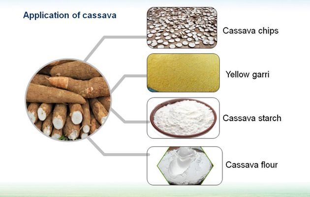 Cassava flour manufacturing equipment