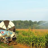 Les lobby agro-industriels et le gouvernement main dans la main pour continuer l'agriculture intensive, écocidaire et anti-sociale - Ricochets