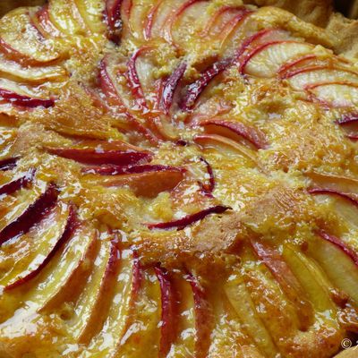 Tarte aux nectarines