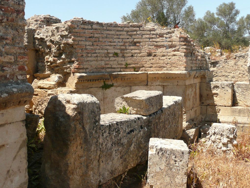 Basilique - Odéon - Codes des lois - Prétoire - Temple d'apollon - Temple des divinités Egyptiennes