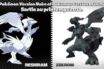 Pokemon Version Blanche