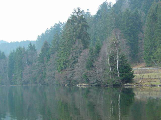 <P><FONT color=#0000ff><STRONG>au pied de la ROUTE des CRETES</STRONG></FONT></P>
<P><FONT color=#0000ff><STRONG>le lac de LONGEMER</STRONG></FONT></P>