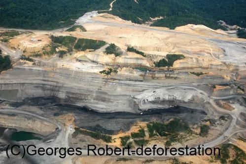 Une série d'image du véritable massacre écologique qui est en cours à Bornéo. Exploitation des bois précieux, du charbon de bois, plantation de palmiers à huile... Un sacré cocktail...!