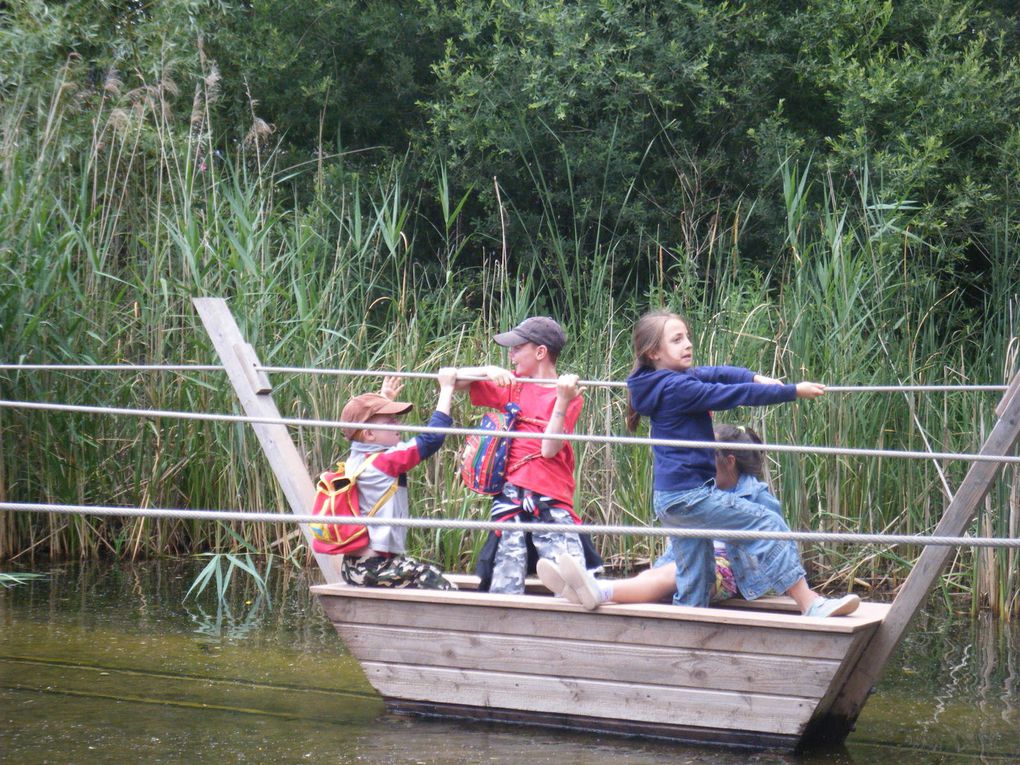 Sortie en famille - Parc des loups