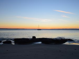 A Jervis Bay, seuls les plus courageux (comme Nath) pourront s'émerveiller du lever de soleil. Un peu plus tard, au même endroit, quelques dauphins passent en famille...