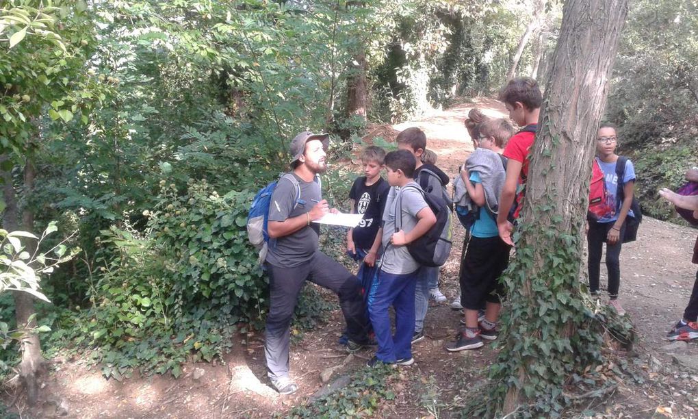 Natura i època medieval per la Diada de cohesio 6ena i 5ena a Sant Miquel de Cuixà