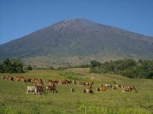 Volcan Gunung Rinjani Lombok