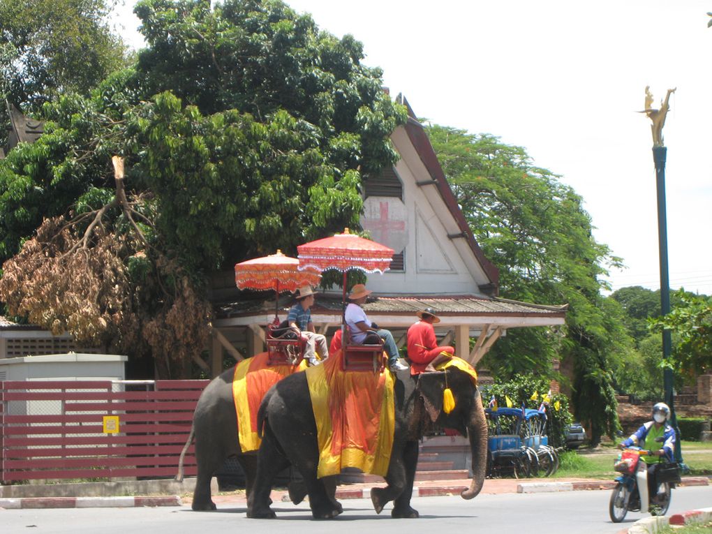 Album - Thailande--Ayuthaya