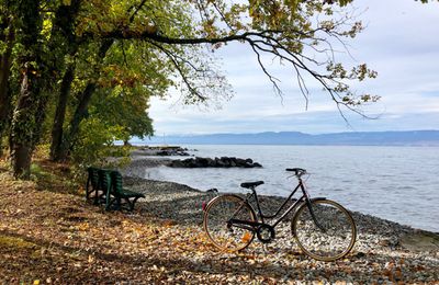 Balade en vieux Motobécane le long du Lac Léman