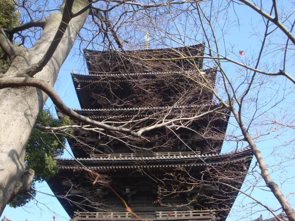 Vacances du nouvel an à Kyoto. Au programme : Daigo-ji, PAvillon d'or, Sangusangen-do, Kiyomizu-dera, Gion et Higashiyama, temple Toji et Nara... que du bonheur !