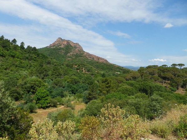 La Rando du Rocher à Roquebrune le 24 mai 2015