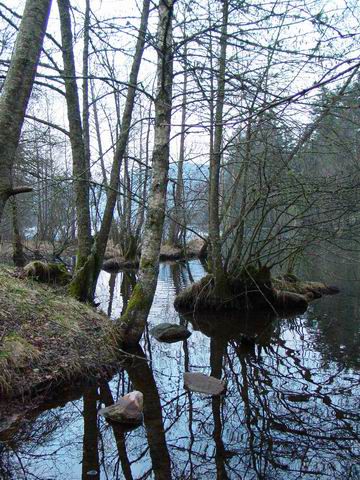 <P><FONT color=#0000ff><STRONG>au pied de la ROUTE des CRETES</STRONG></FONT></P>
<P><FONT color=#0000ff><STRONG>le lac de LONGEMER</STRONG></FONT></P>