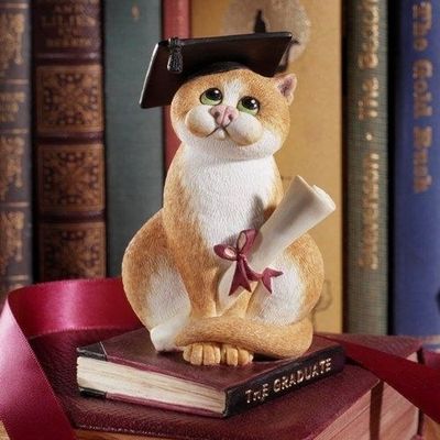 Un chat de bibliothèque