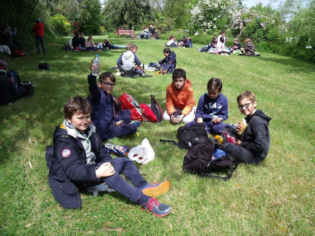 Déjeuner sur l'herbe version XXI ème siècle !