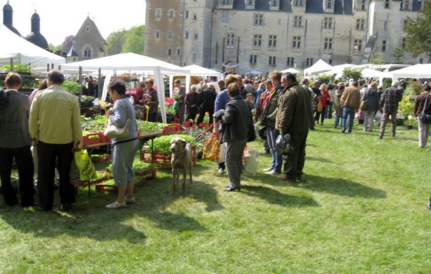 "Courtanvaux, côté jardin", un grand rendez-vous à Bessé-sur-Braye