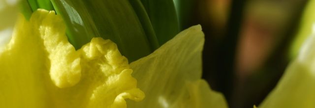 Printemps
