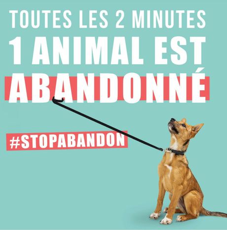#STOPABANDON Journée Mondiale contre l’abandon animaux compagnie revient