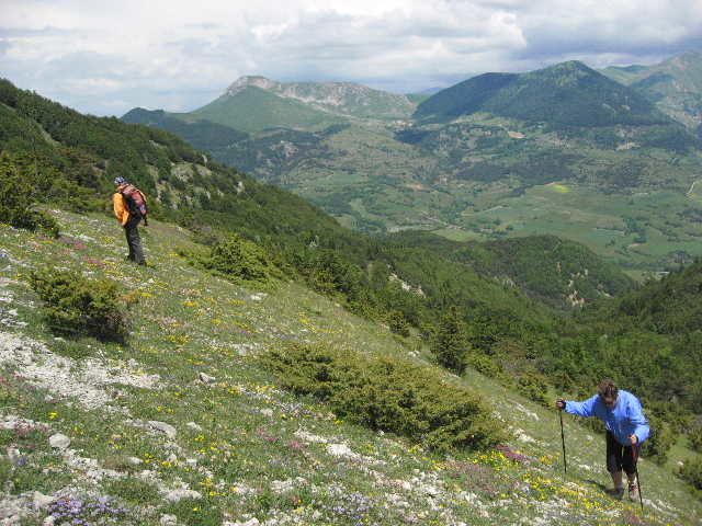 Album - Passeur-de-nature