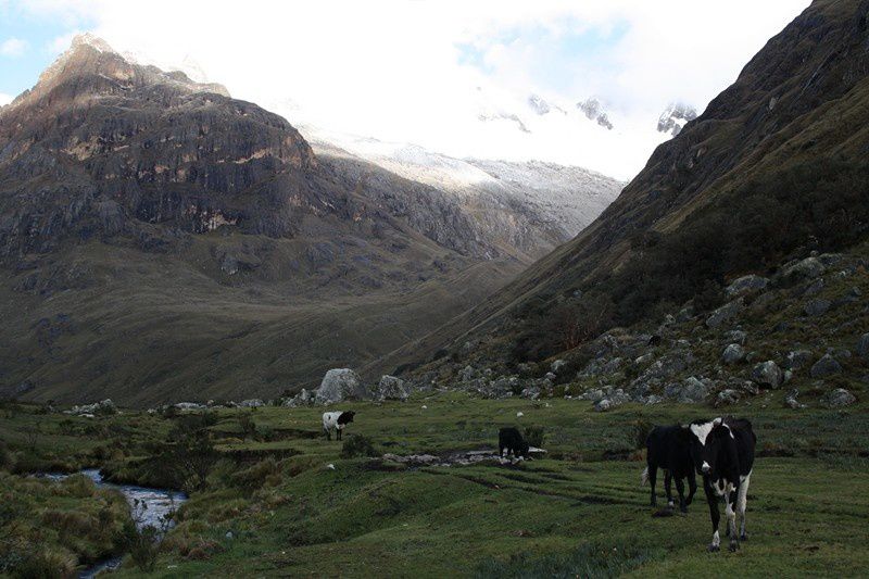 la cordillere des andes, cordillere blanche, noire...