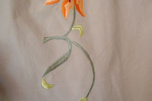Orchidée orange