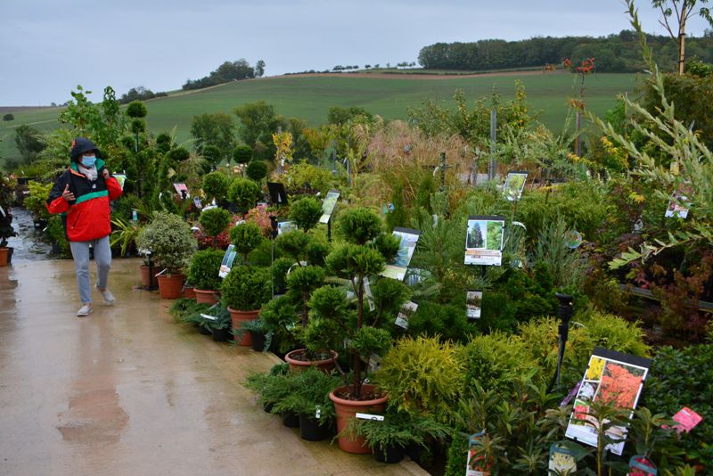 Jeudi 24 Septembre 2020 A la découverte du Mont Fleuri