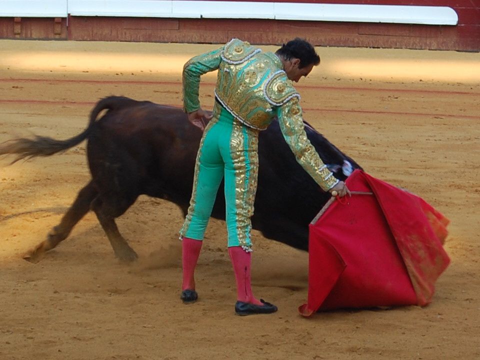 Album - Dax - Corrida du 16 août 2009