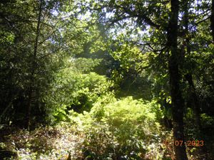 Corrèze in Summer