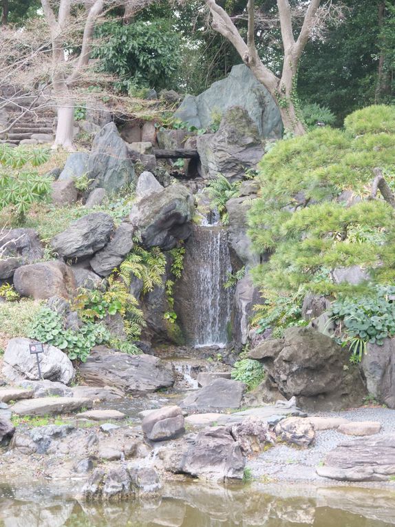 Le jardin est vraiment joli, moins en hiver mais quand même ! Et ces idiotes de carpe koï sont toujours là, évidemment...