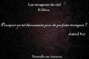 Les ravageurs du ciel - Keila Silion 