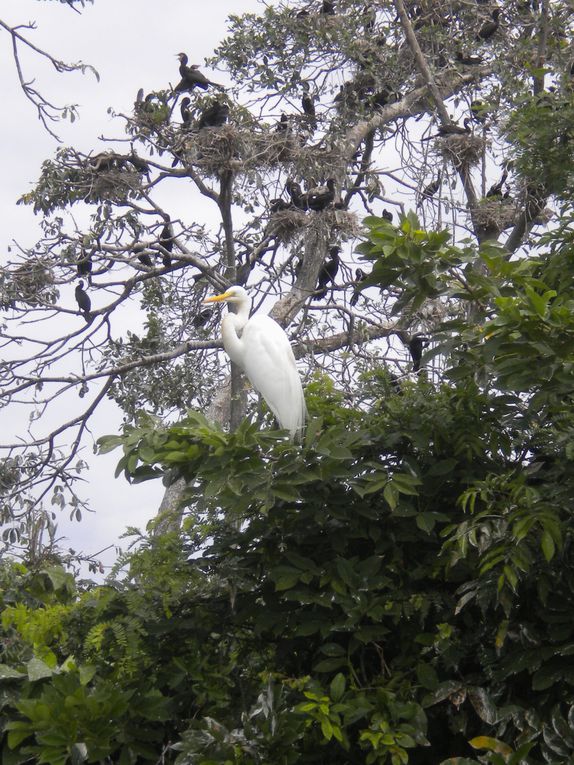 Solola, Sacatepequez, Izabal