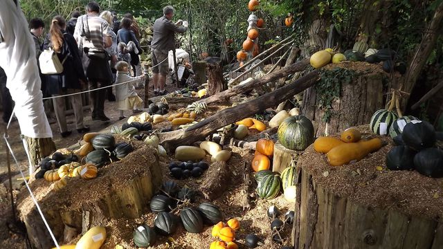 Les Cucurbitades de Marchiennes 2013