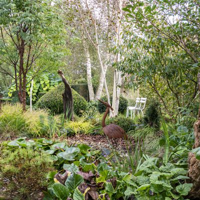 Le Jardin de la Bosquerie : la passion des plantes et l'envie de faire du beau autour de soi.