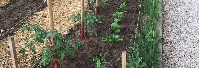 L’amenagement du jardin faure ´midable