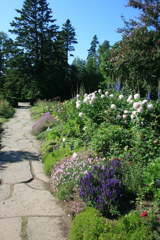 Album - Jardin-Metis