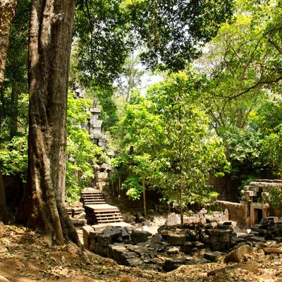 Cambodge: Siem Reap: les temples d'Angkor 1