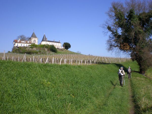 Une très agréable balade autour de Villegouge en partant de Fronsac