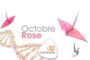 Octobre Rose 2018