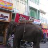13 ème jour: Udaipur - vieille ville et spectacle