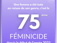 79 EME  FEMINCIDES DEPUIS LE  DEBUT  DE L ANNEE  2023