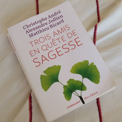 "Trois amis en quête de sagesse"